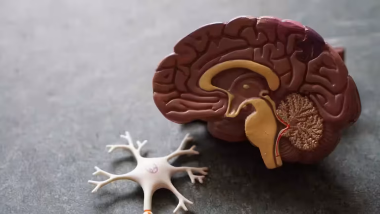 Neuroscienze dell'Alimentazione