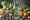 benessere-alimentare-1
