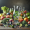 benessere-alimentare-1